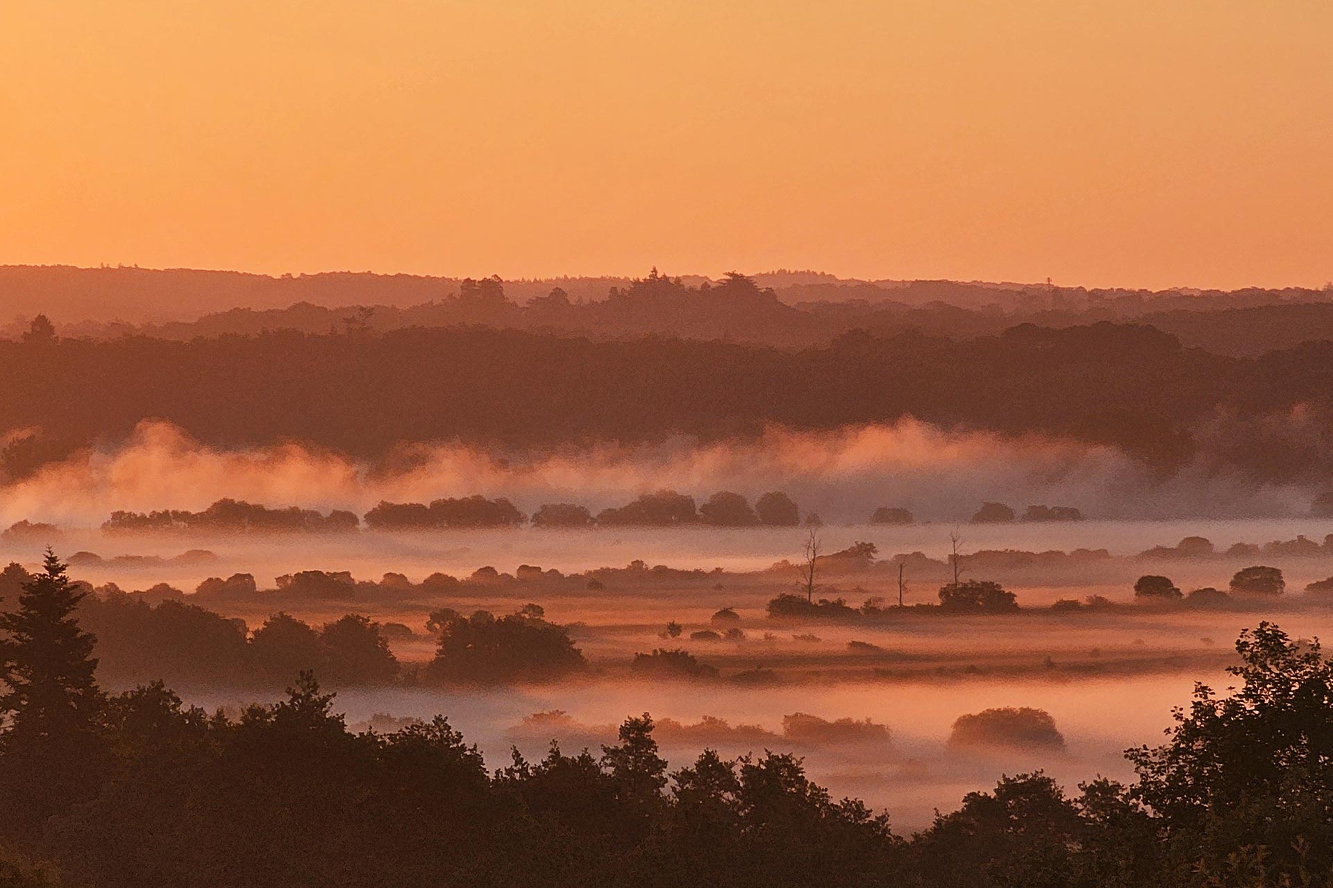 Photographie professionnelle